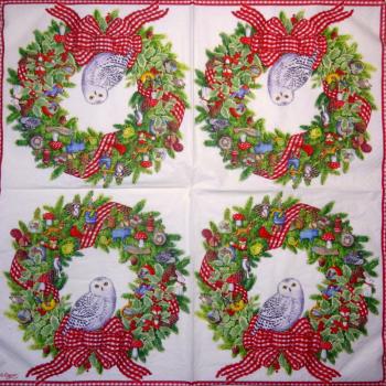 116 Eulen-lagig - Kalamazoo - CS - 24x24cm